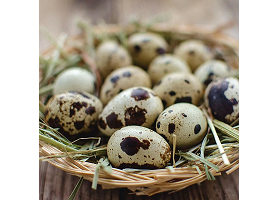 Яйца перепелиные (20шт.)
