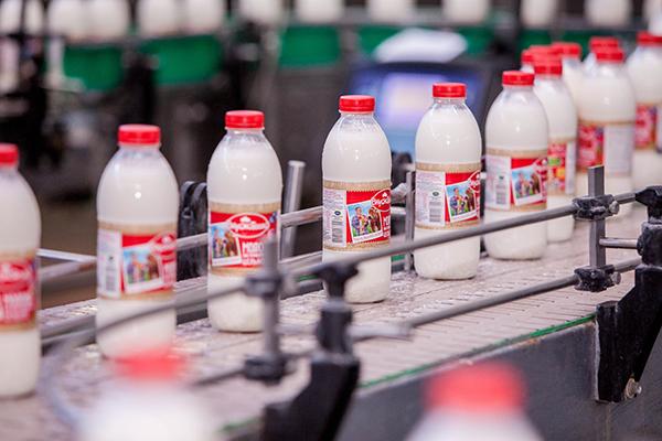 ТВОЙПРОДУКТ: Как выглядит производство молочной продукции