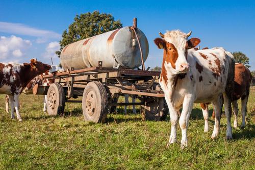 Новости ТВОЙПРОДУКТ: Объем реализации молока в сельхозорганизациях вырос на 8,2%
