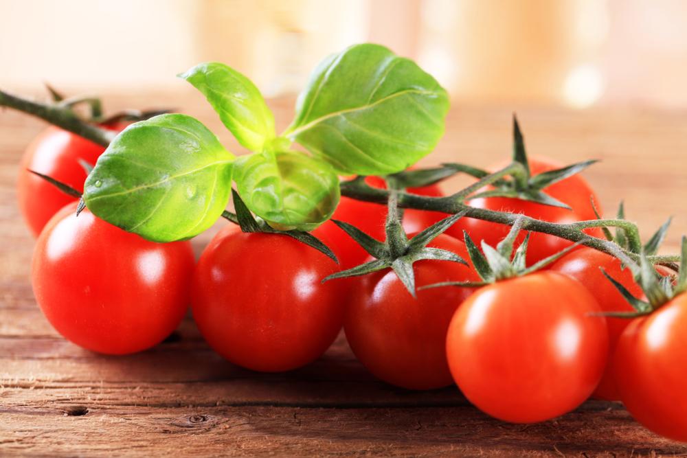 Новости ТВОЙПРОДУКТ: В Бурятии будут выращивать помидоры с лечебным эффектом